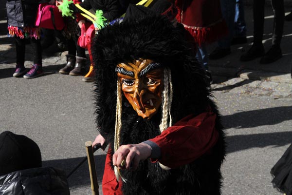 Hoerbranzer_Faschingsumzug_2017-02-25_IMG_0816.jpg